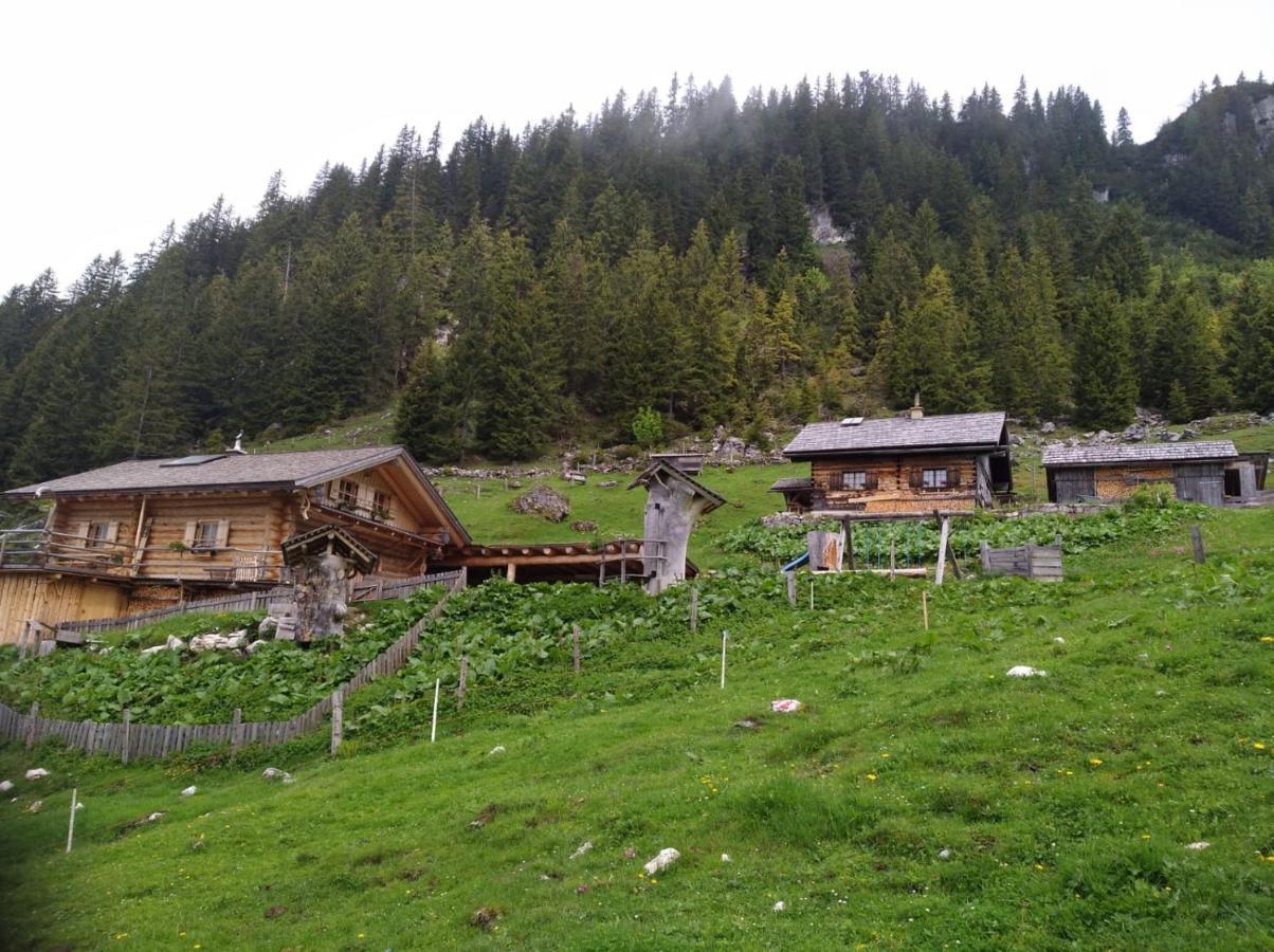 Spulhof Apartment Abtenau